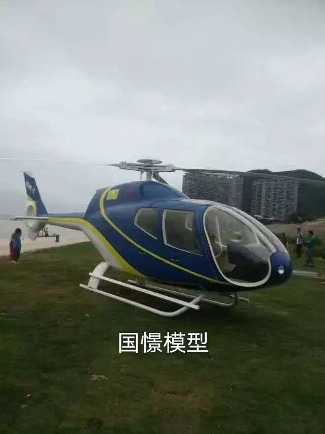陆河县飞机模型