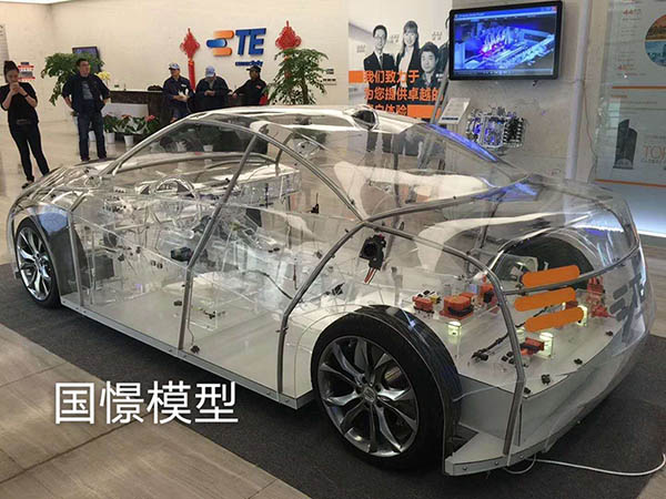 陆河县透明车模型